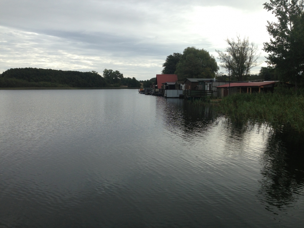 Angeln am Dranser See | Mein Biss