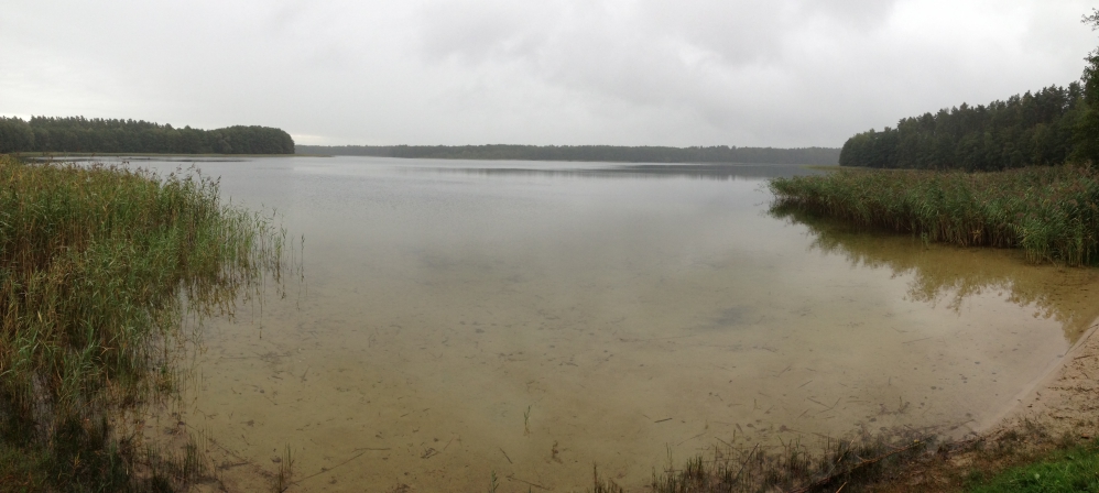 Angeln am Dranser See | Mein Biss