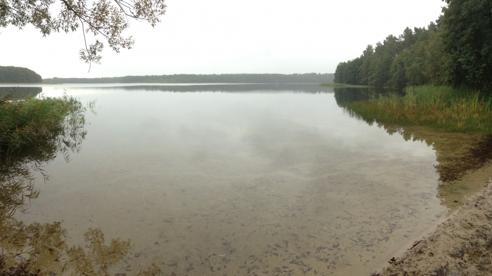 Angeln am Dranser See | Mein Biss