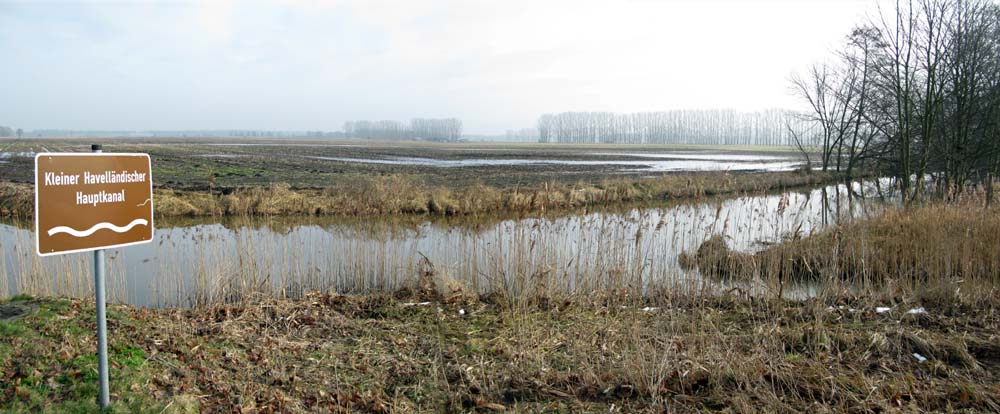 Angeln Im Havelländischen Hauptkanal | Mein Biss